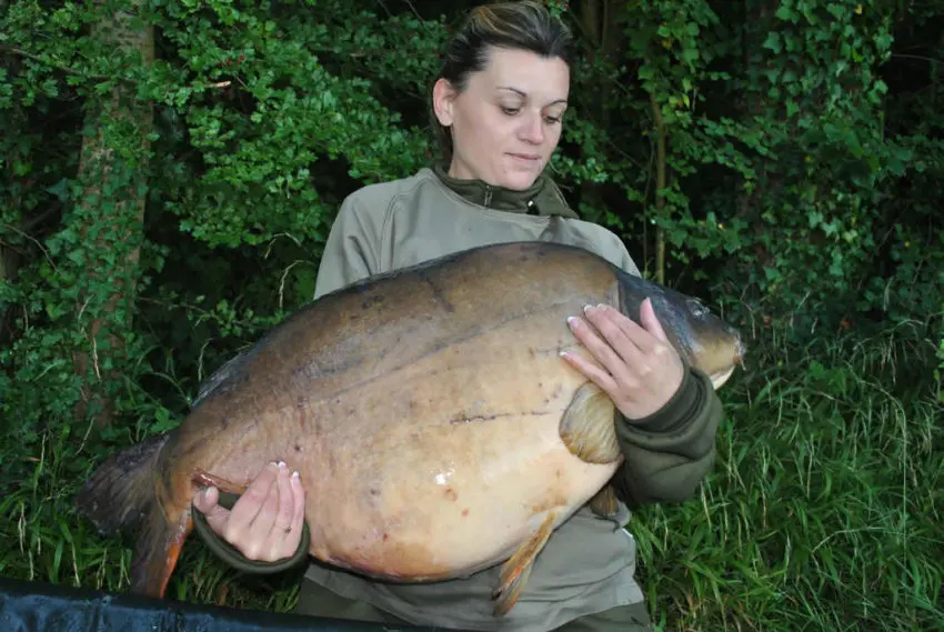 Pêche de la carpe en automne