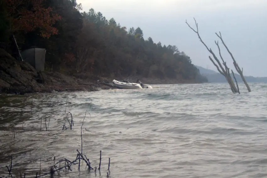 Pêche de la carpe en automne