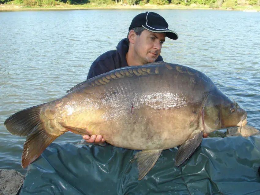 Pêche de la carpe en automne