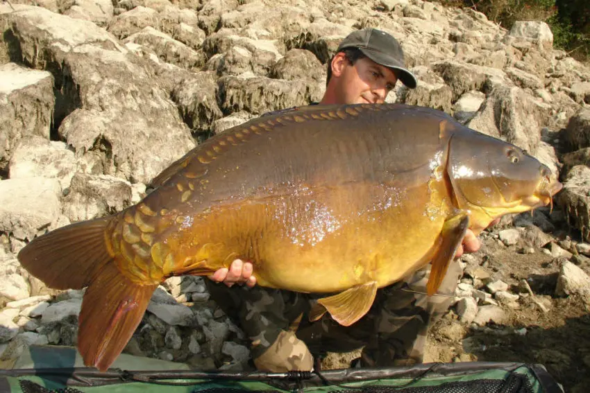 Pêche de la carpe en automne