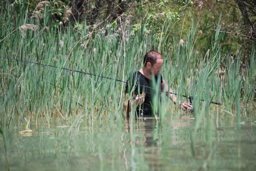 Pêche de la carpe, c'était mieux avant?