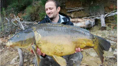 Pêche de la carpe, c'était mieux avant?