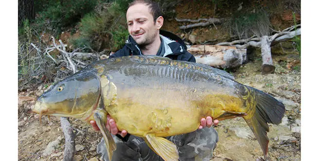 Pêche de la carpe, c'était mieux avant?