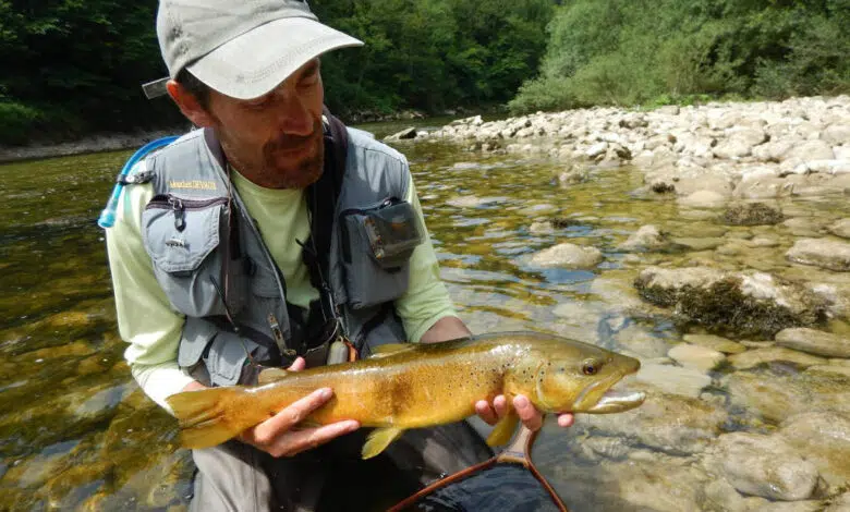 Pêcher à la mouche efficacement