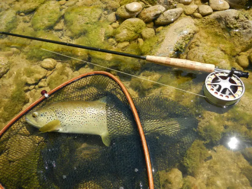 Pêcher à la mouche efficacement