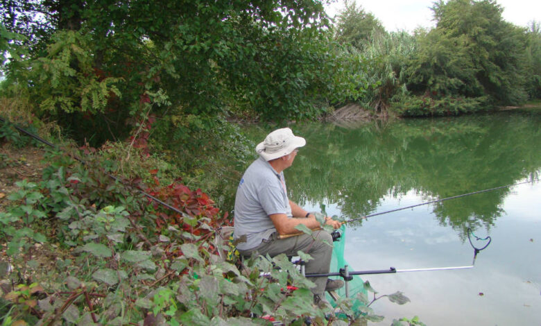 Pêche du rotengle à l’anglaise en plan d’eau (gravières et étangs) 53 Pêche du rotengle à l'anglaise en étang
