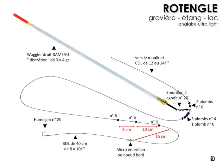 Pêche du rotengle à l'anglaise en étang