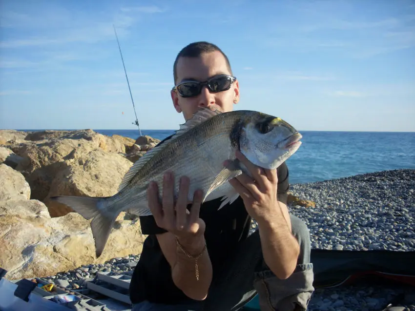 Pêche daurade en surfcasting en bord de mer