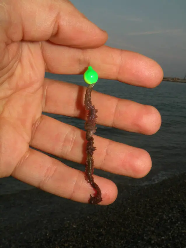 Pêche en surfcasting entre deux eaux avec des perles