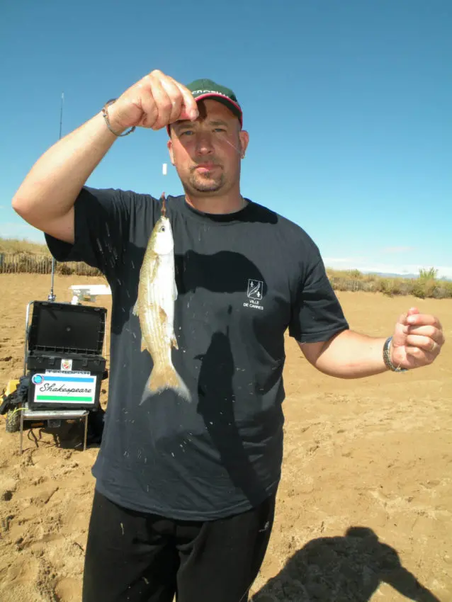 Pêche en surfcasting entre deux eaux avec des perles