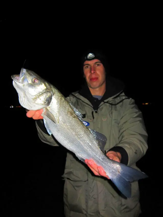 Pêche en surfcasting entre deux eaux avec des perles