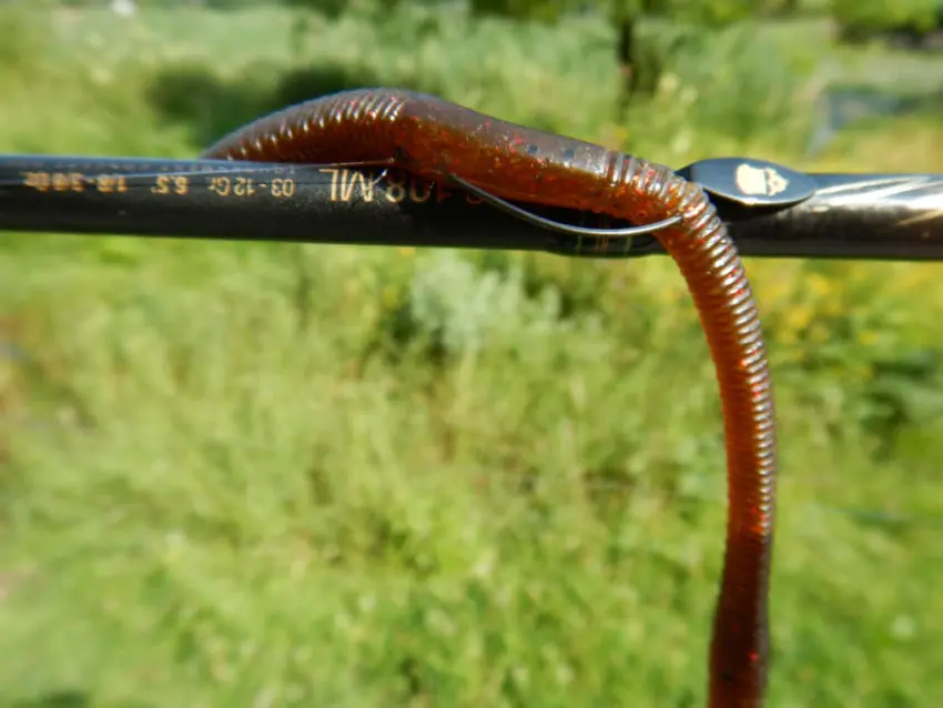 Le worm est un bon leurre pour pêcher le black bass