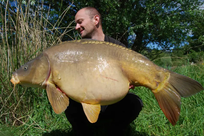 Carpe stalking - pêche à vue