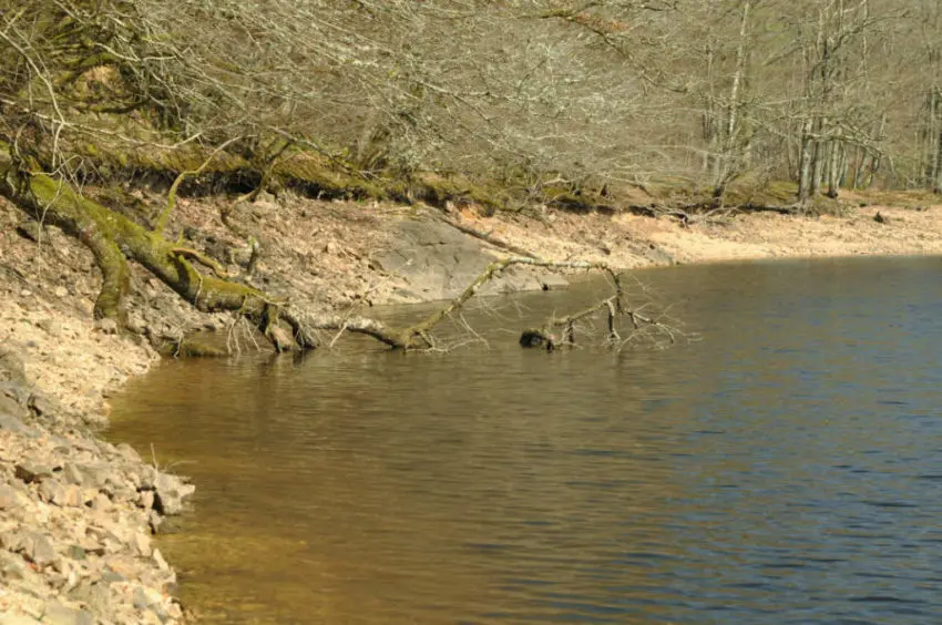 Pêcher la carpe en barrage en hiver