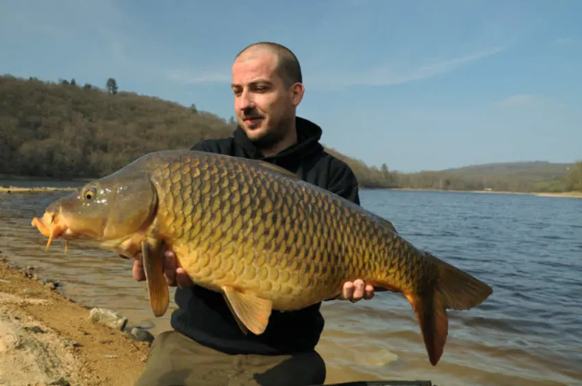 Pêcher la carpe en barrage en hiver