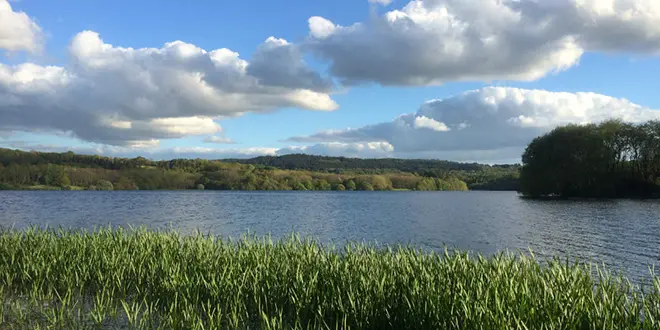 Pêche dans le finistère