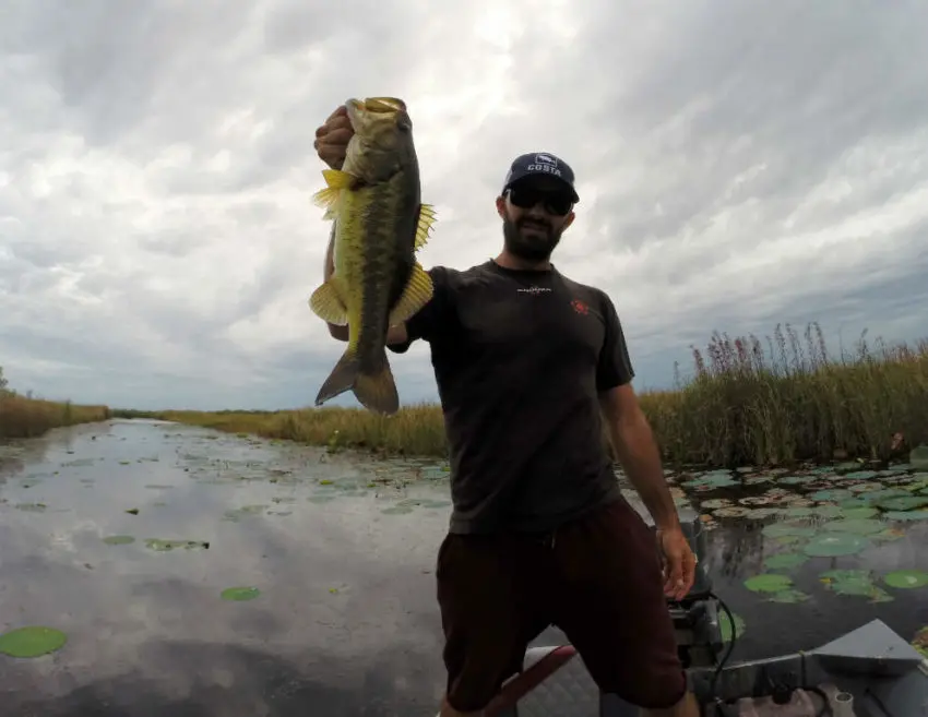 Black-Bass vu par les pêcheurs français