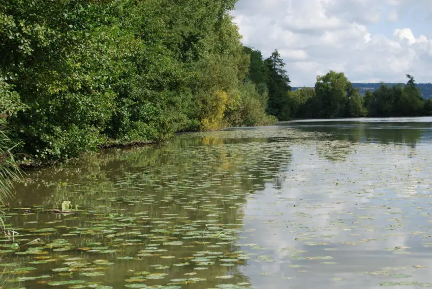 Pêche du brochet au streamer