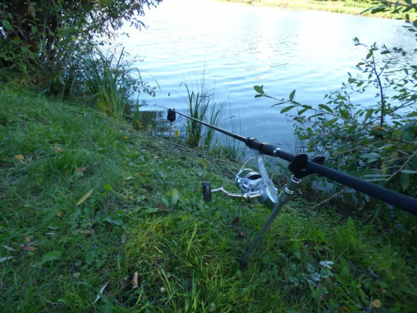 Pêche de la carpe en bordure dans ses bottes