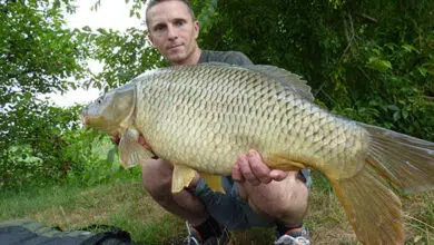 Pêche de la carpe en bordure dans ses bottes