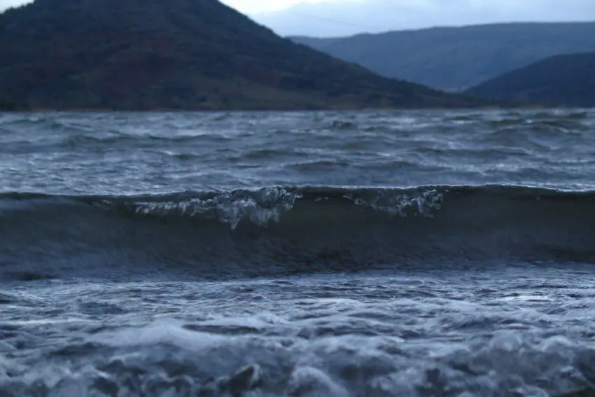 Pêcher la carpe en hiver