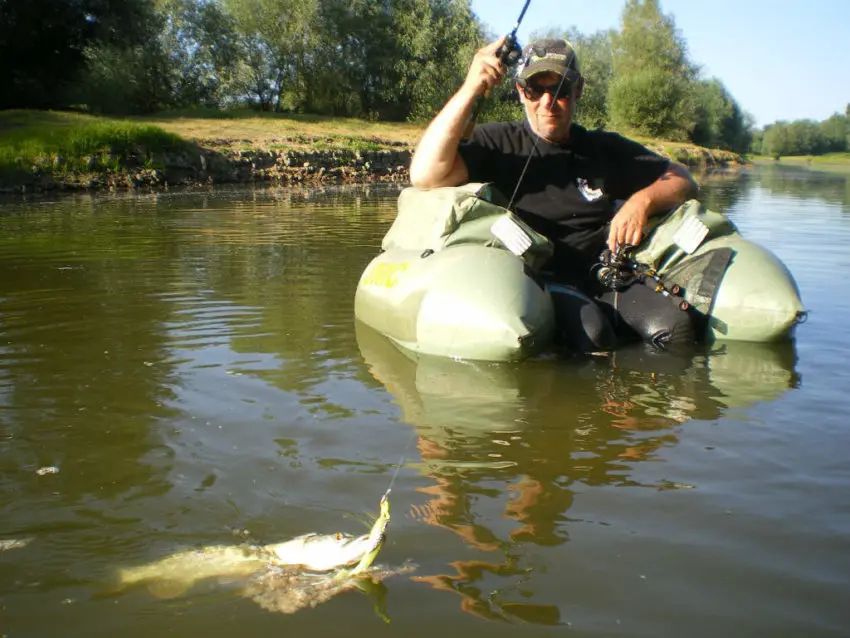 Jérôme termine très bien la journée avec ce brochet leurré par un shad jaune citron