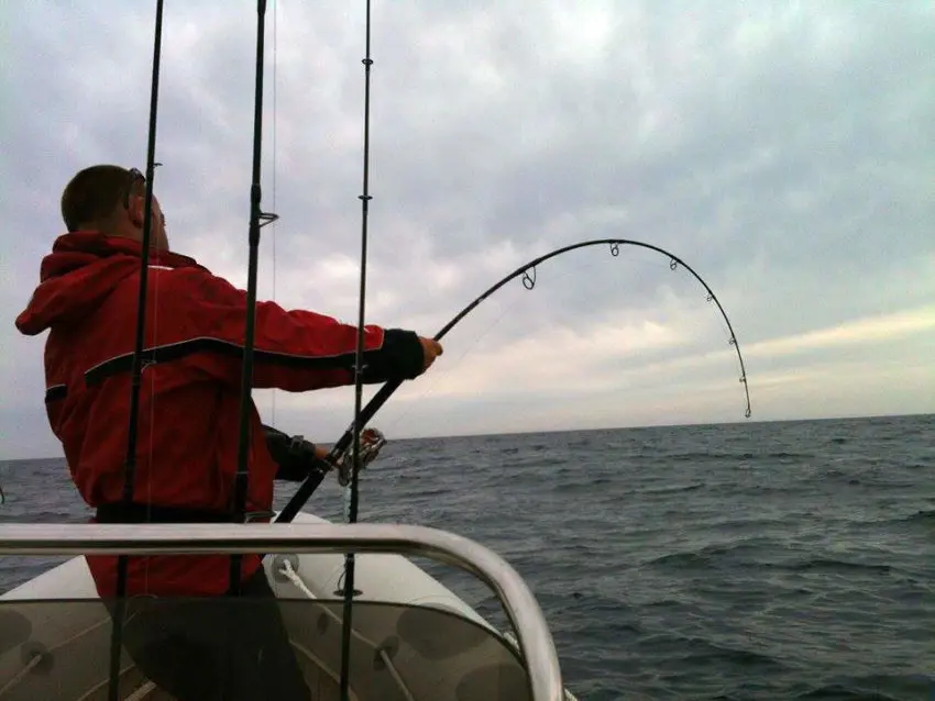 Pêche du thon rouge en méditerranée