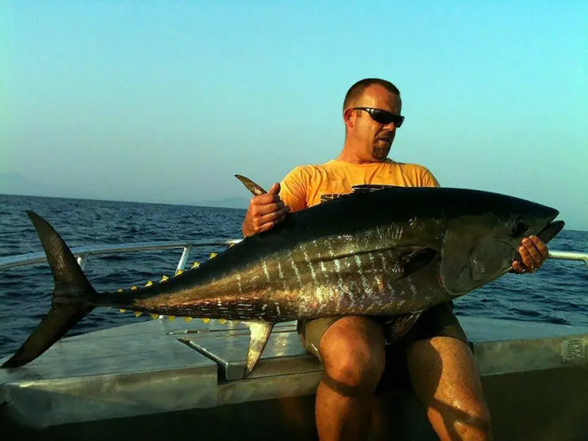 Pêche du thon rouge en méditerranée