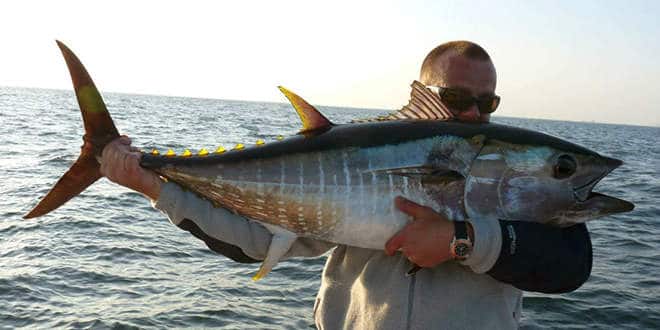 Pêche du thon rouge en méditerranée