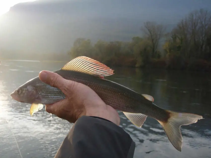 Pêche en 2ème catégorie