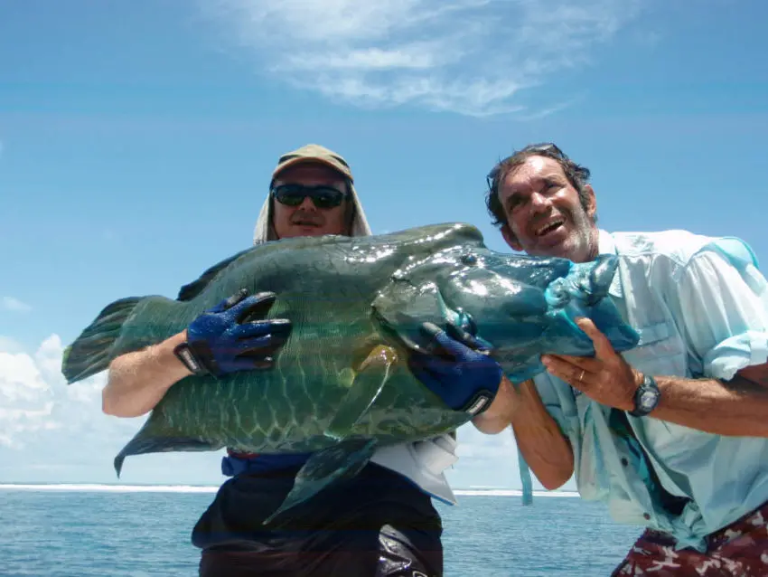 Yves Fraisseix, guide en Inde aux Laquedives