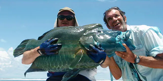 Yves Fraisseix, guide en Inde aux Laquedives