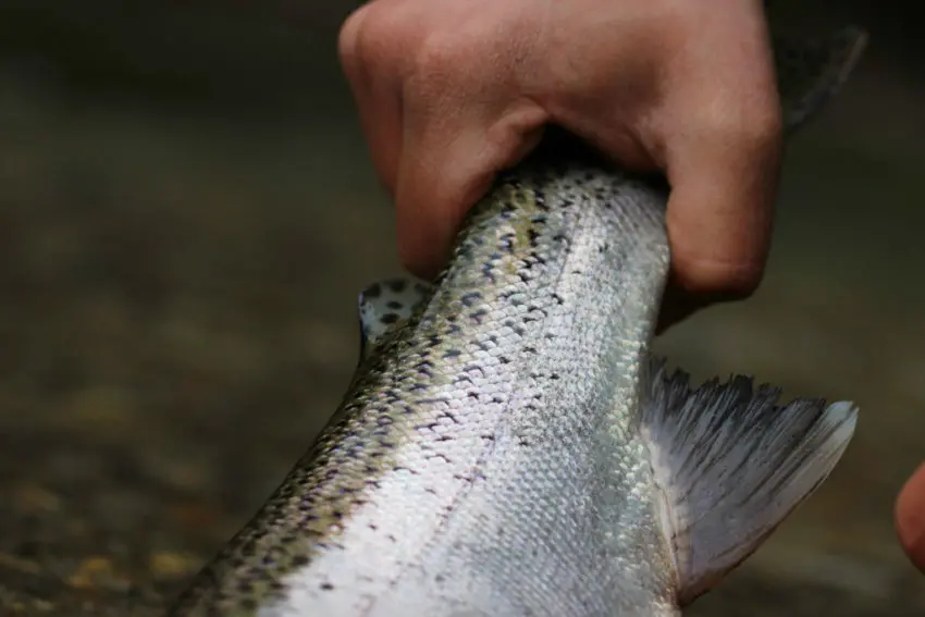 Finland Fishing Camp