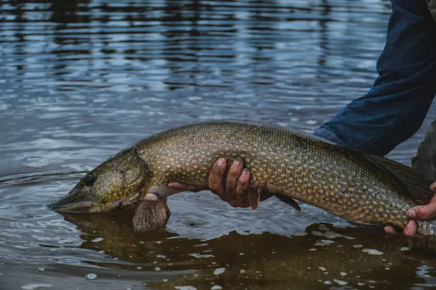 Finland Fishing Camp