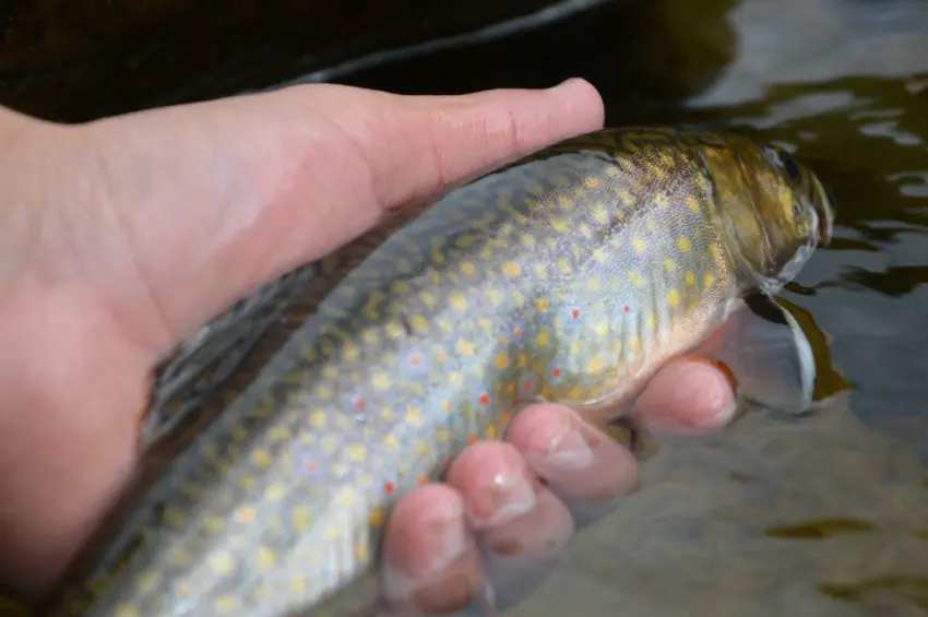 Finland Fishing Camp