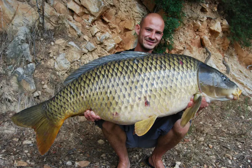 Pêcher la carpe avec de la pression de pêche