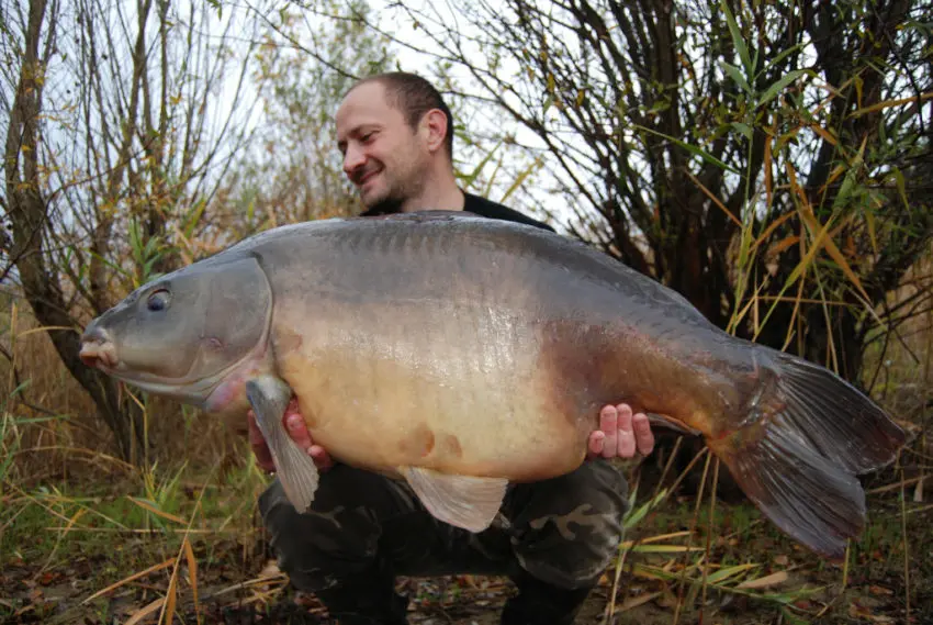 Pêcher la carpe avec de la pression de pêche