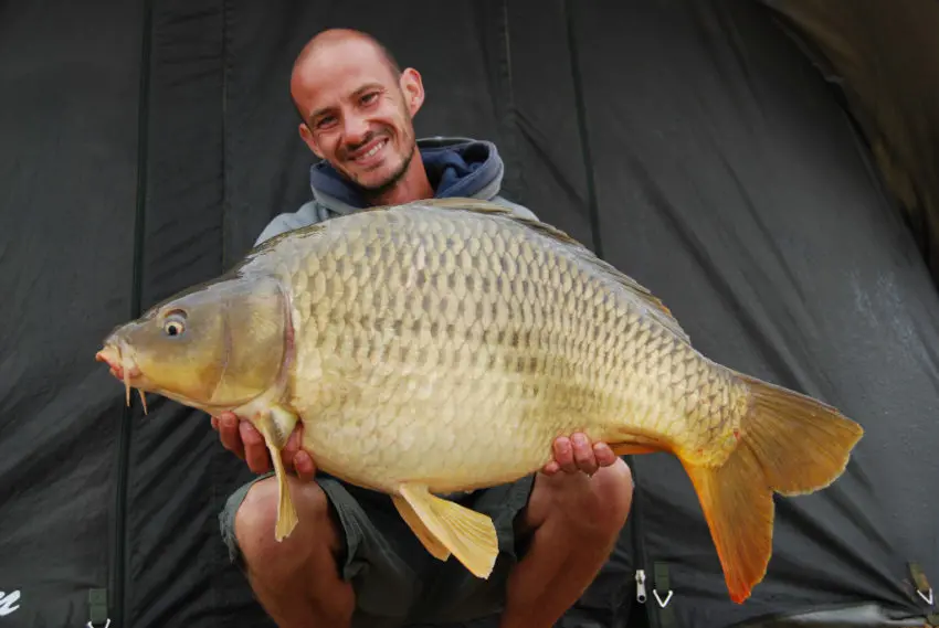 Pêcher la carpe avec de la pression de pêche