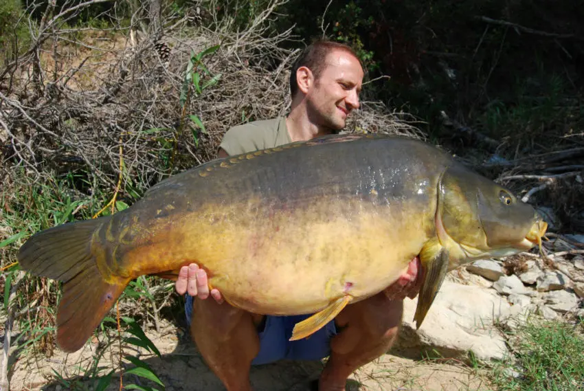 Pêcher la carpe avec de la pression de pêche