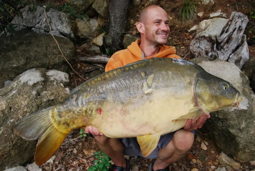 Pêcher la carpe avec de la pression de pêche