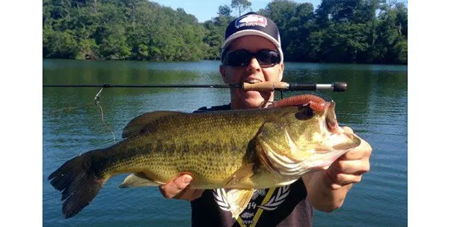 Pêche du black-bass en finesse