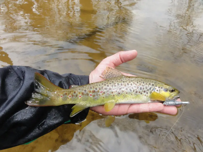 Améliorer vos leurres pour la pêche du carnassier