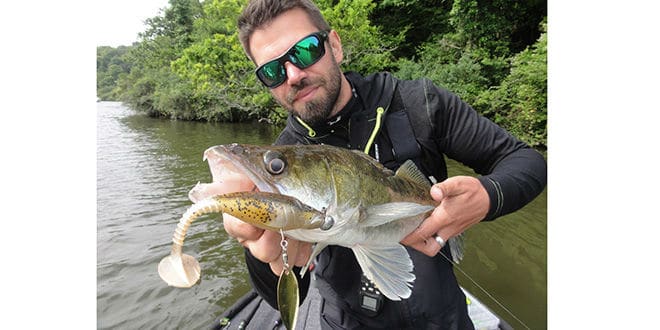 Dopez vos leurres pour tromper les carnassiers 79 Améliorer vos leurres pour la pêche du carnassier