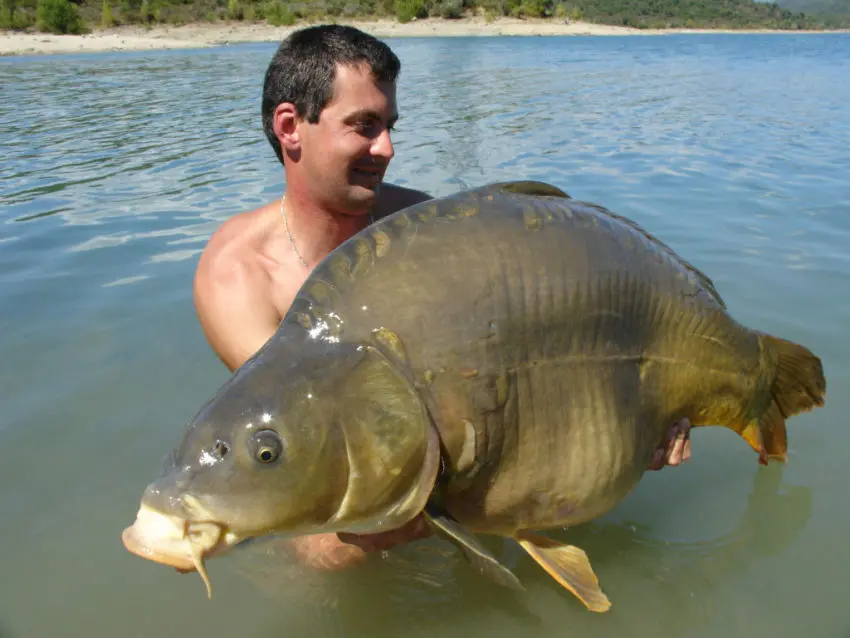 Pêcher la carpe avec de petits appâts