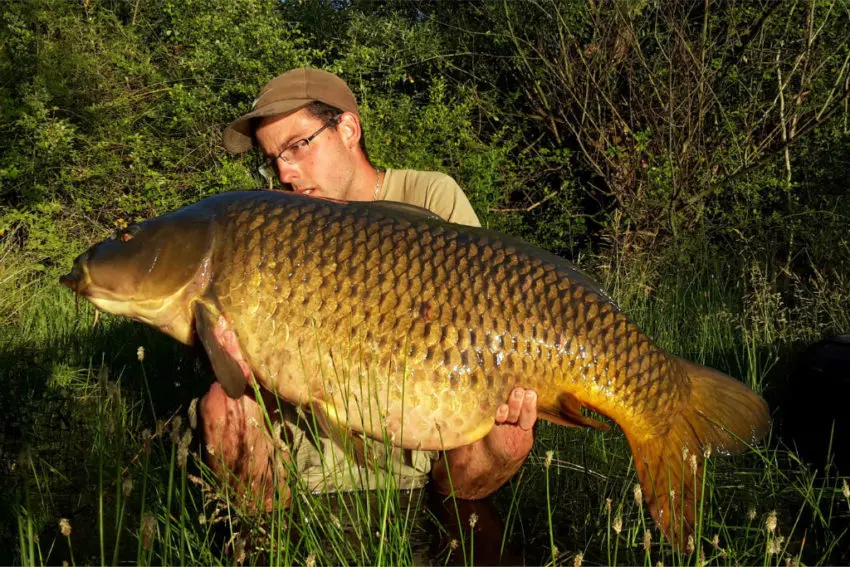 Pêcher la carpe avec de petits appâts