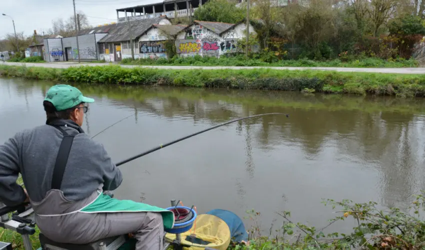 Pêche du gardon au coup en eau froide