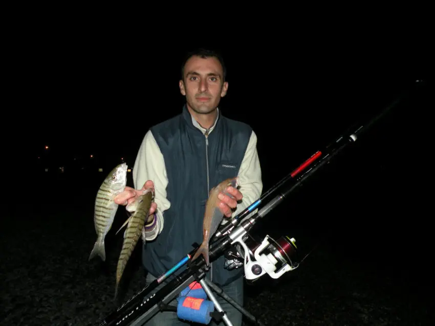 Pêche du marbré en surfcasting