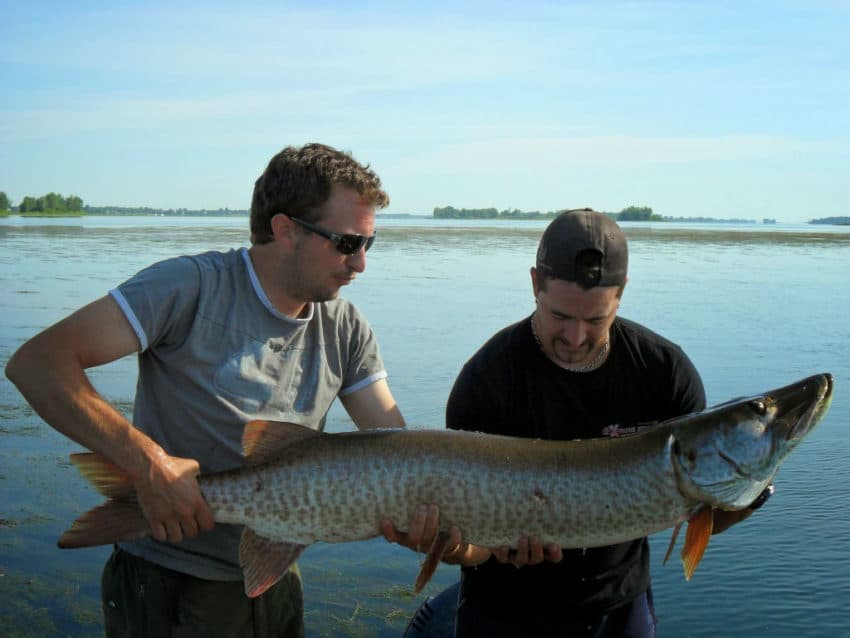 La pêche au Québec : réglementation et poissons
