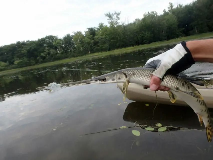 La pêche au Québec : réglementation et poissons