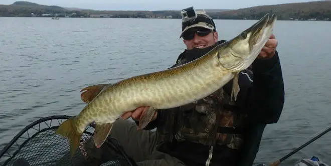 La pêche au Québec : réglementation et poissons